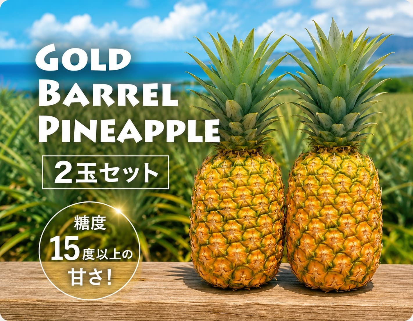 ゴールドバレルパイナップル 2玉セット