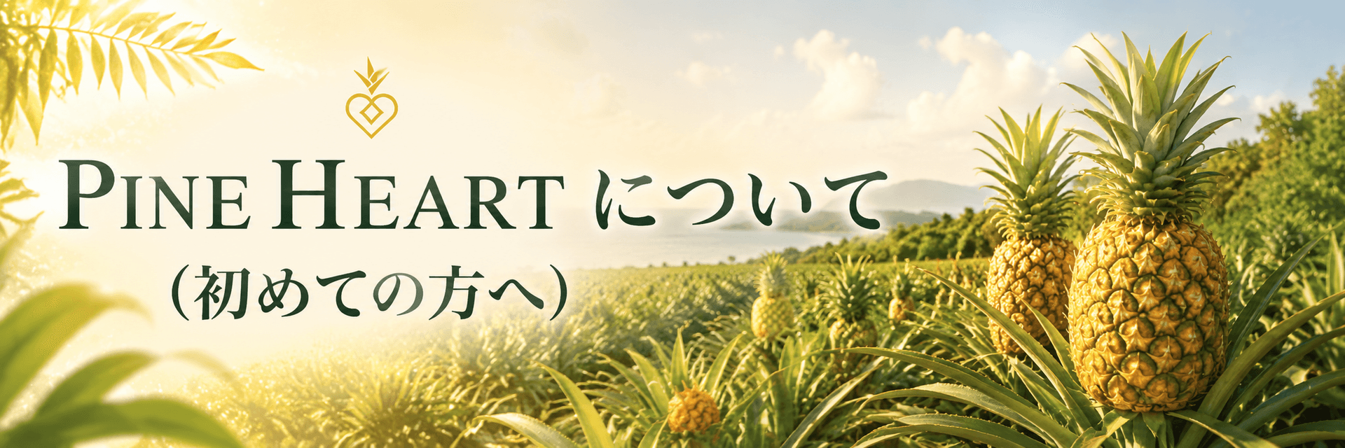 バナー1