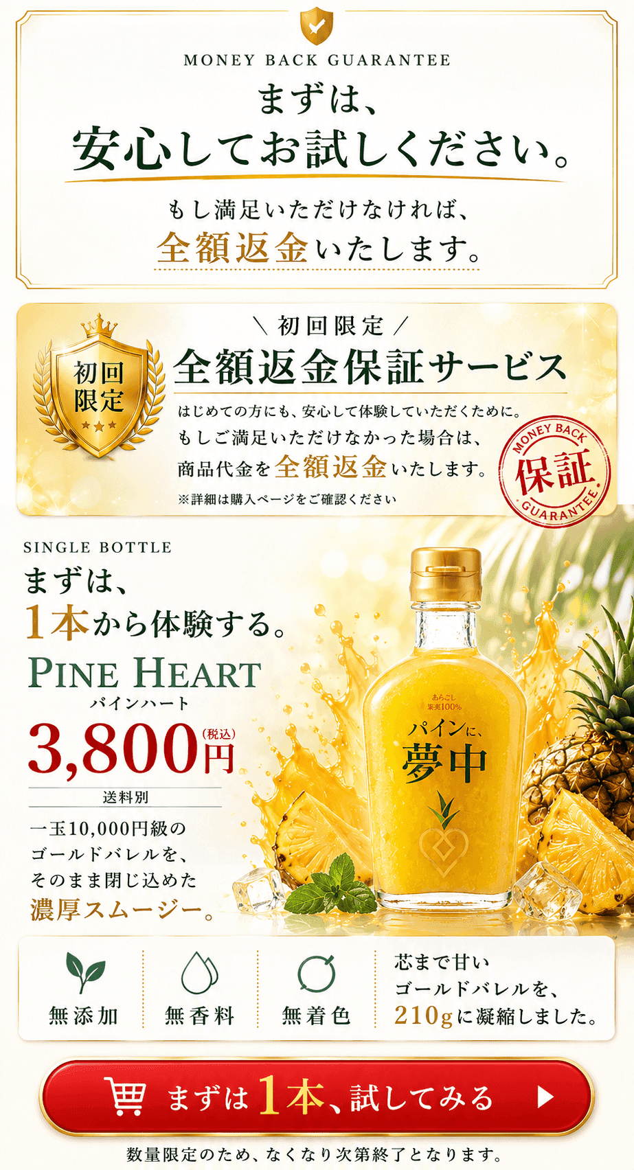 パインに夢中 セット